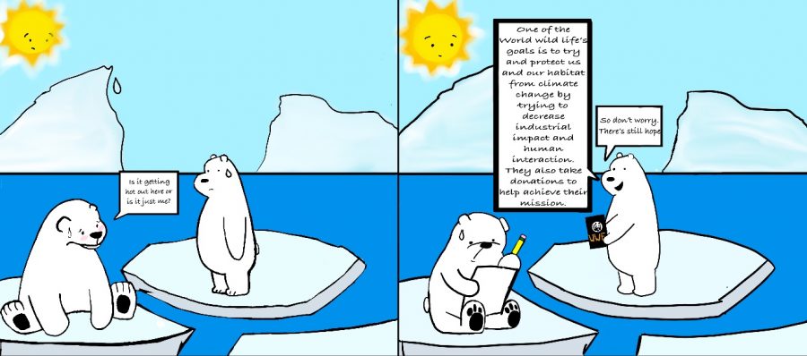 Global Warming is slowly deteriorating Polar Bears habitat by melting the ice. This makes it hard for them to survive because of how much their daily activities revolve around the frozen ground. Polar Bears are a threatened species and the World Wild Life Organization is trying their best to help save them and their environment.