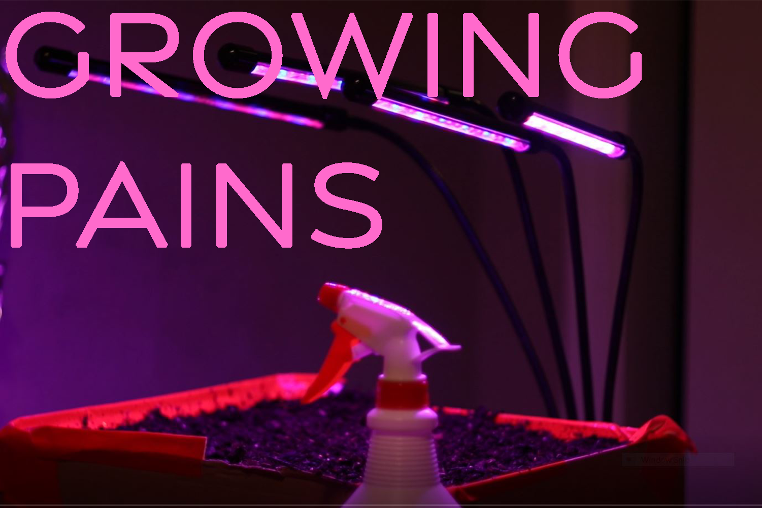 growing-pains-scot-scoop-news