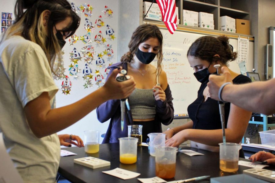 Female students perform labs in a Carlmont chemistry class. 