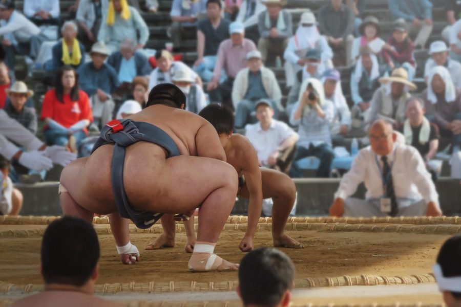 Two professional sumo wrestlers face off in the dohyo ring. (AdobeStock/Mtaira/stock.adobe.com/Creative Commons Zero)
