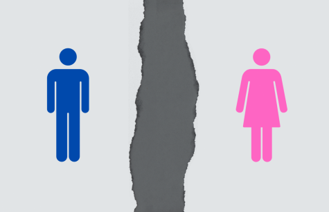 The modern gender binary invalidates the spectrum that it actually is, dictating that there are only two distinct genders that must follow specific norms.