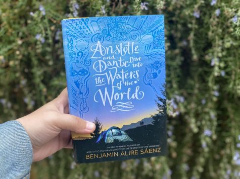 The book cover of Aristotle and Dante Dive into the Waters of the World was designed, illustrated and hand-lettered by Mark Brabant, Sarah Jane Coleman and Chloë Foglia.