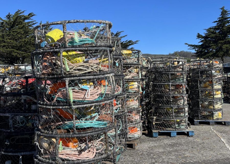 Rows of unused crab pots and buoys sit in a parking lot until the delay on the Dungeness crab season is lifted.