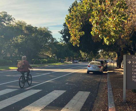 A Stanford student bikes through the Stanford campus bike paths.