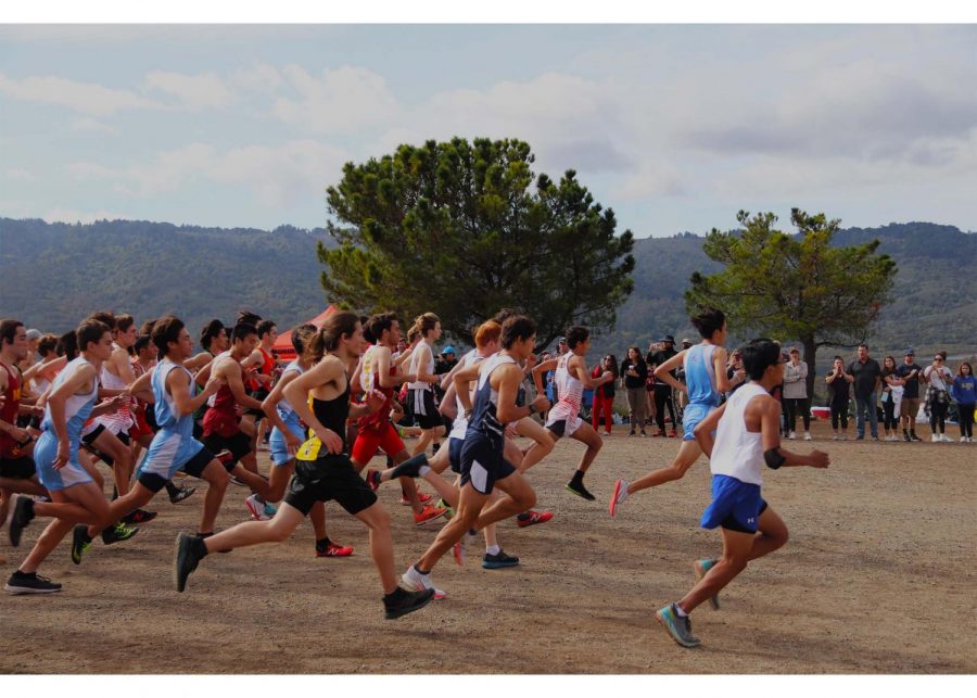 Varsity boys race at the 2021 Peninsula Athletic League (PAL) Championships at Crystal Springs. This is my favorite course to run on, said Jono Sison, a participant in the varsity boys race.