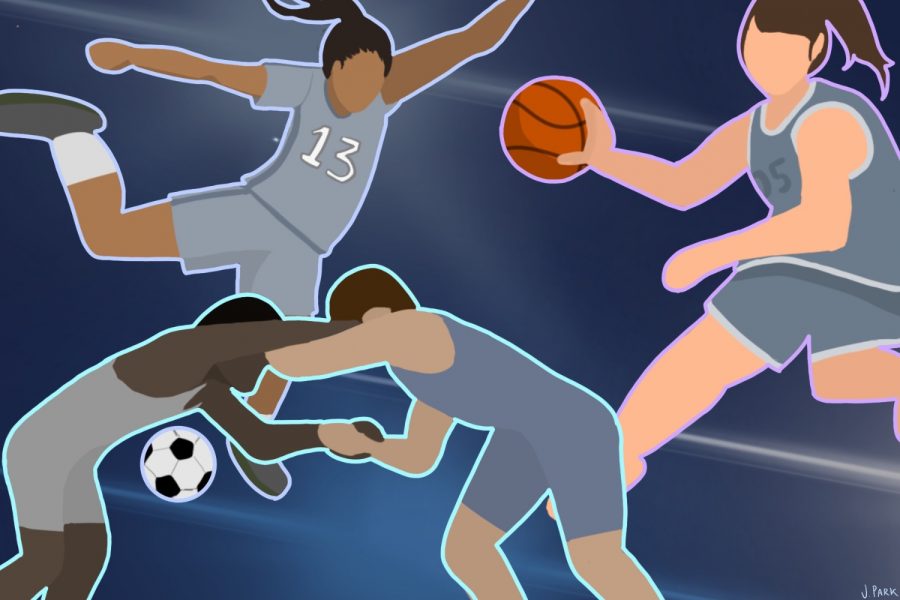 Carlmont offers basketball, soccer, and wrestling to all students in the winter season of sports.