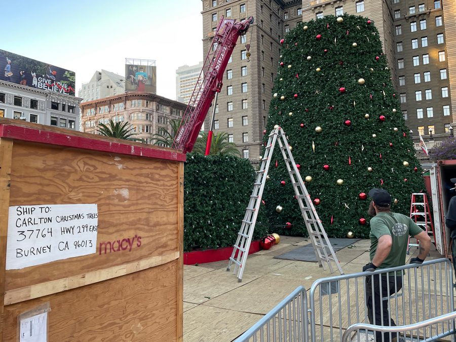 Mike Newby gazes up at the partially completed Christmas tree in Union Square. “[We] get these fake branches set into them. [We] put all the ornaments around it evenly and then we start lifting sections together like a big old puzzle, Newby said.