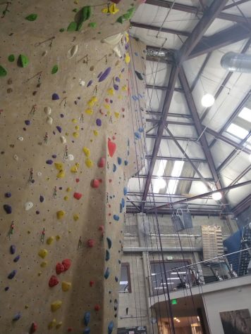 Planet Granites' belaying walls with purple belay ropes.