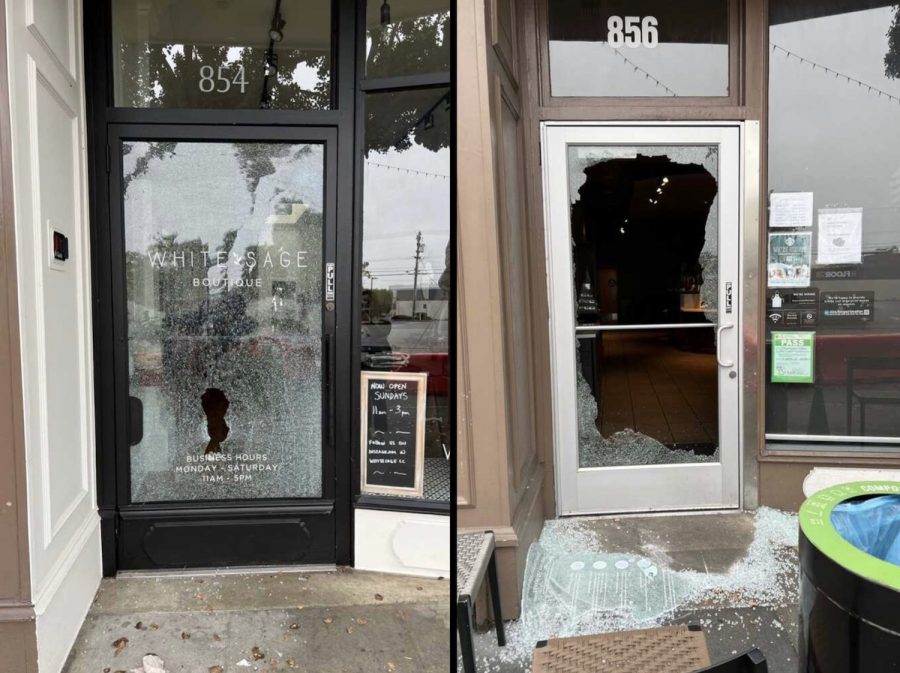 Zuills attack leaves the doors and windows of White Sage and Starbucks on Laurel Street shattered. 