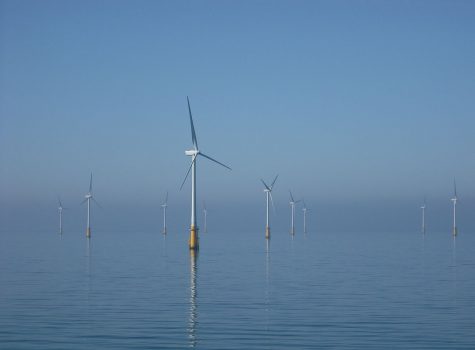 Floating wind turbines might be a new green energy alternative.