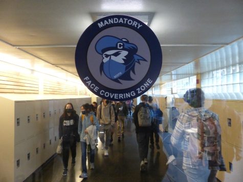 Monty stickers around campus remind students that they are required to wear masks indoors.