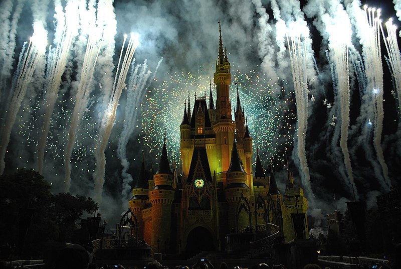 The fireworks at Disney World in 2014.