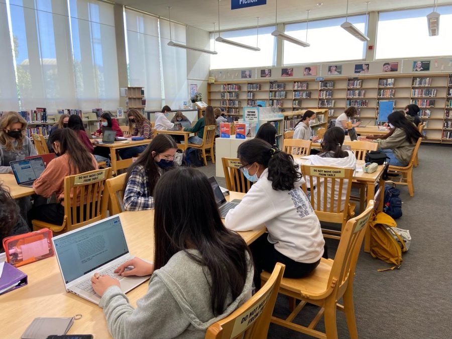 Many students chose individual study in the library during flex periods.