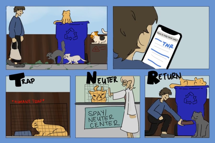 Cartoon: Helping Feral Cats