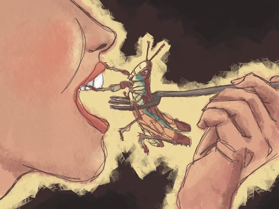 In the face of climate change and world hunger, edible insects are rising in popularity.