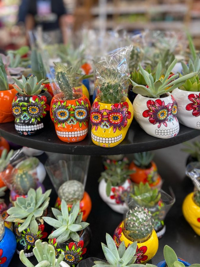 Inspired by Day of the Dead, celebrated in November, these colorful skull planters are available for purchase. 