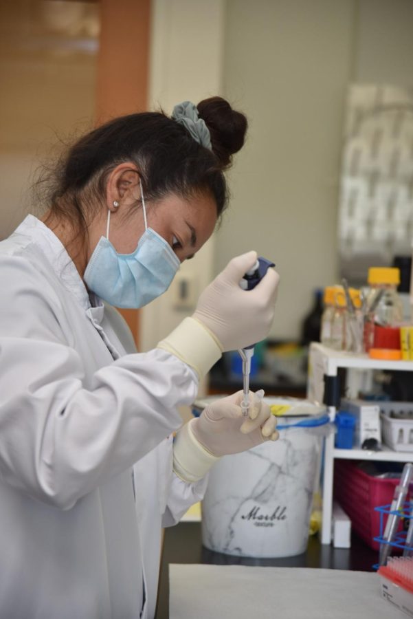 A forensic scientist uses a micropipette to transfer a piece of evidence.