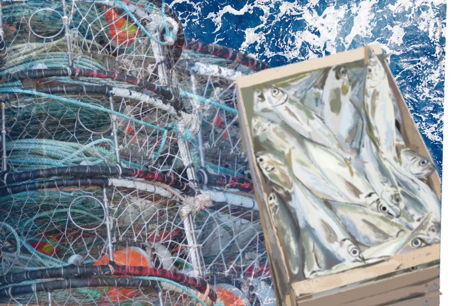 Sustainable fishing methods play a role in preserving fish populations for the future of the industry and the environment.