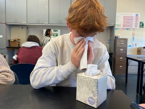 A student at Carlmont blows his nose as he recovers from a cold. 
