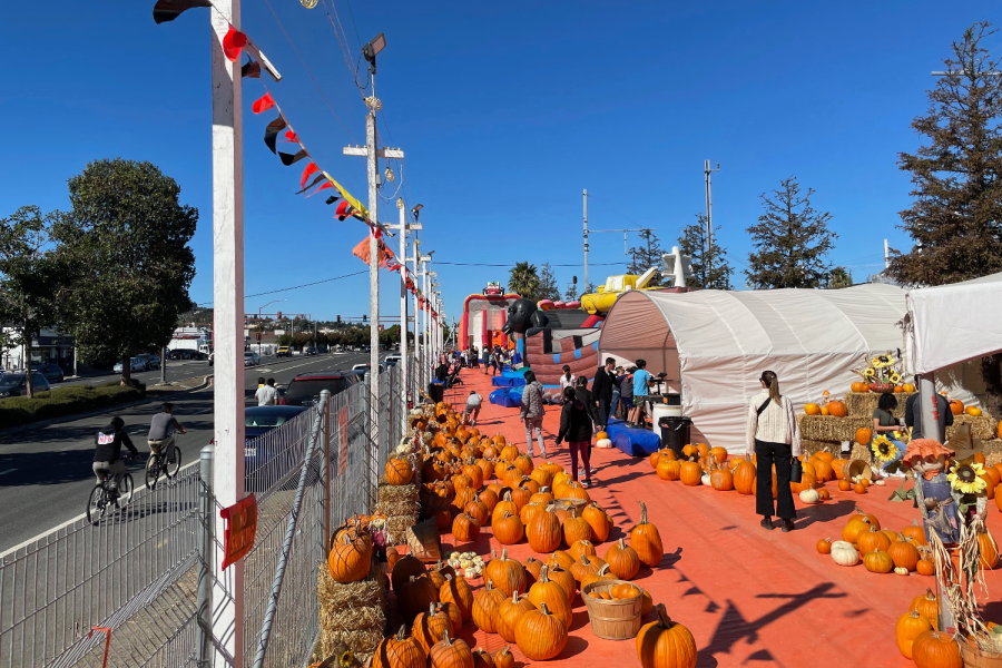 Pumpkin patches offer a variety of activities for customers to participate in.