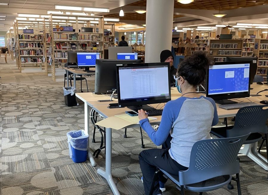 A member of the public researches online sources at a local library.