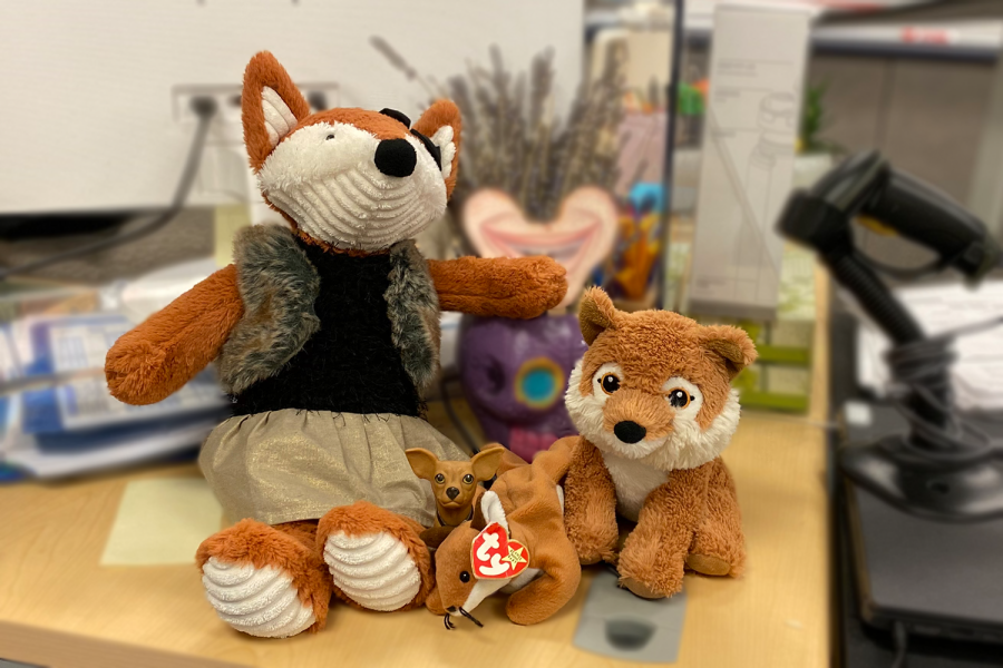Foxs stuffed foxes can be found scattered around her class or on her desk. She gives them to students on test days to help them destress.