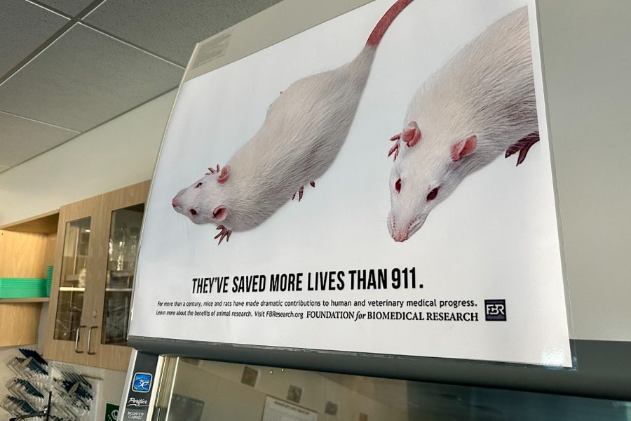 In Shayesteh’s classroom, she keeps a poster of two white rats that says that lab rats have saved more lives than 9/11. Even though she stopped doing research, she still believes in the value of animal use for research. “It’s a tricky topic because it’s never okay to take a life and nobody enjoys testing on animals, but at the same time, how can you be sure about a product or a new medication or something that could be life-changing without first testing on animals?” Shayesteh said.