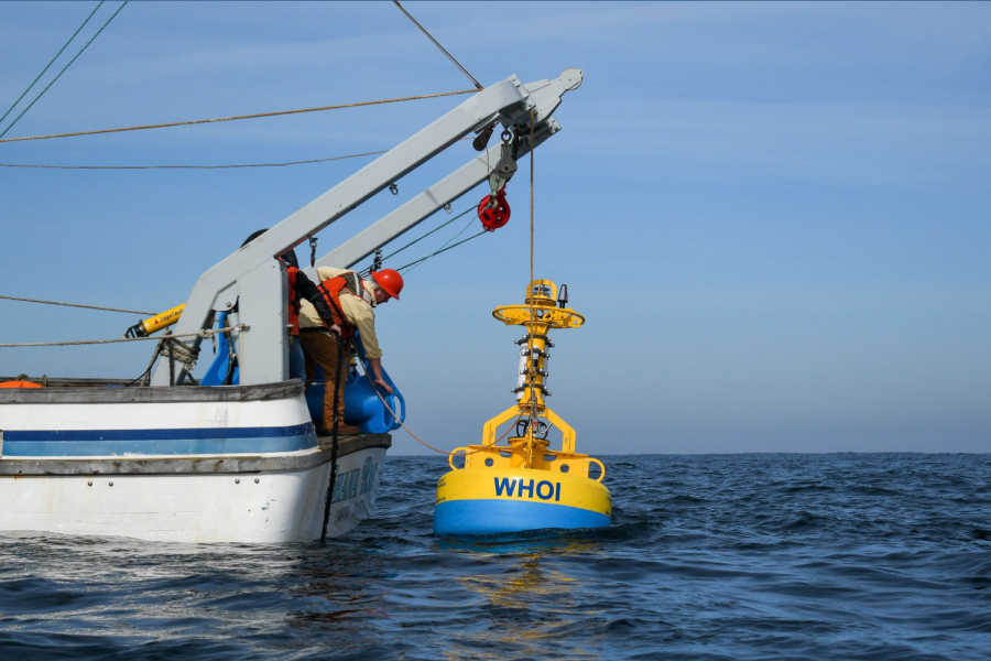 Whale Safe has deployed several buoys equipped with high-tech artificial intelligence (AI) technology to detect whale populations. The Benioff Ocean Initiative has worked with leading whale scientists from Woods Hole Oceanographic Institution (WHOI), The Marine Mammal Center, and many other institutions to develop the project.