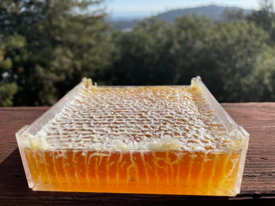 Honeycomb is made from beeswax, a product created by worker bees to store honey and house their larvae. 