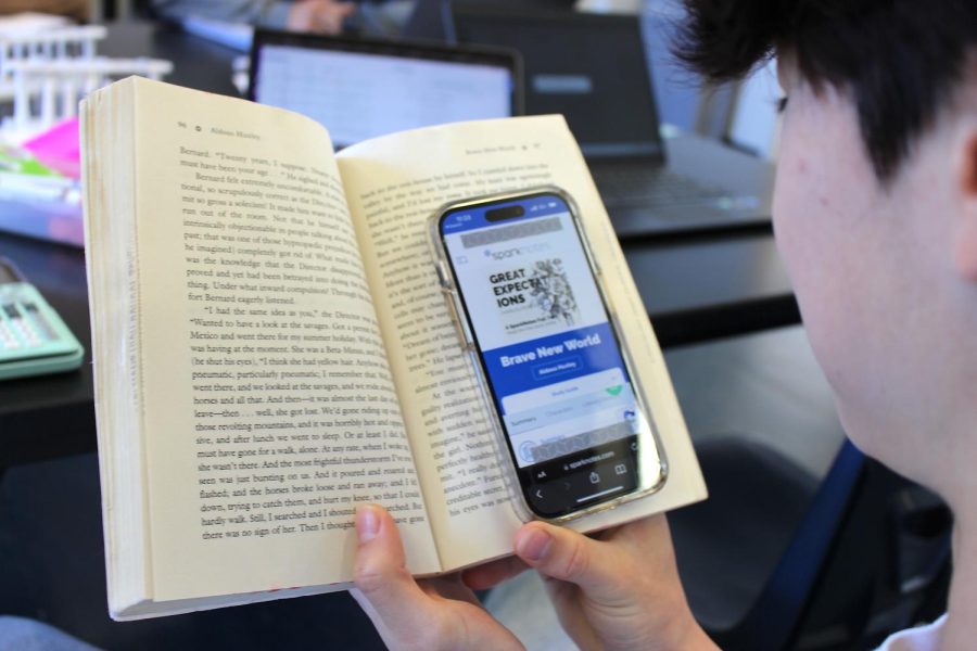 Many students rely on outside sources to fully comprehend certain classic texts.  