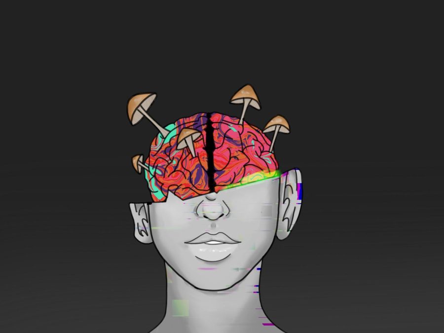A digital drawing depicts how psychedelics help give color or heal ones mind.