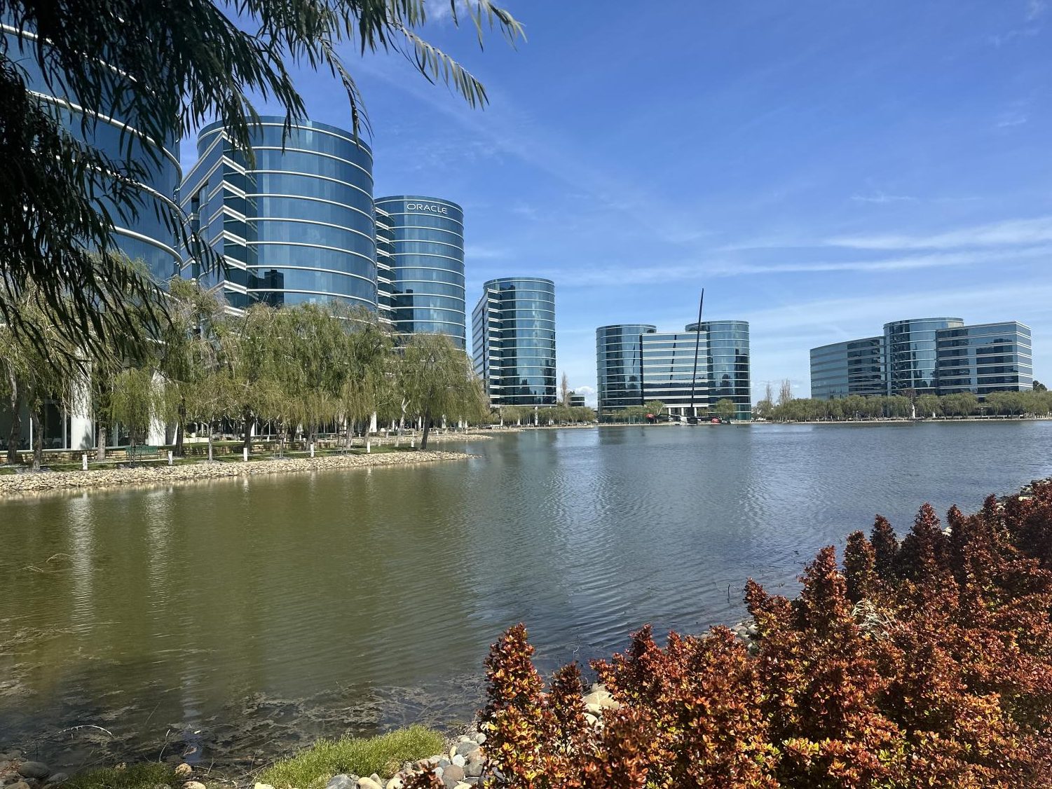 200 Bay Area employees were impacted by Oracle layoffs.  