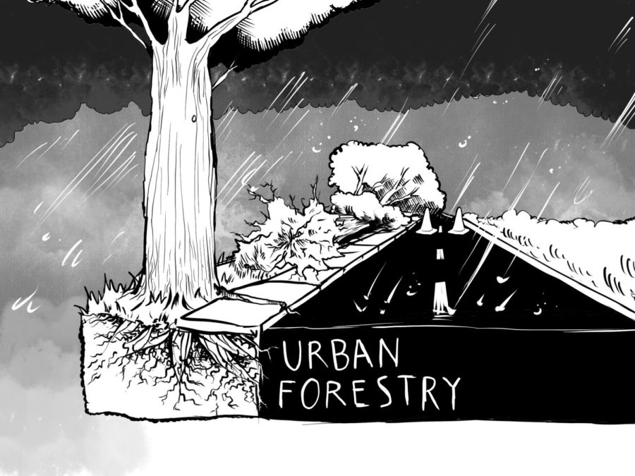 Cartoon: Storms unveil faults of urban planning