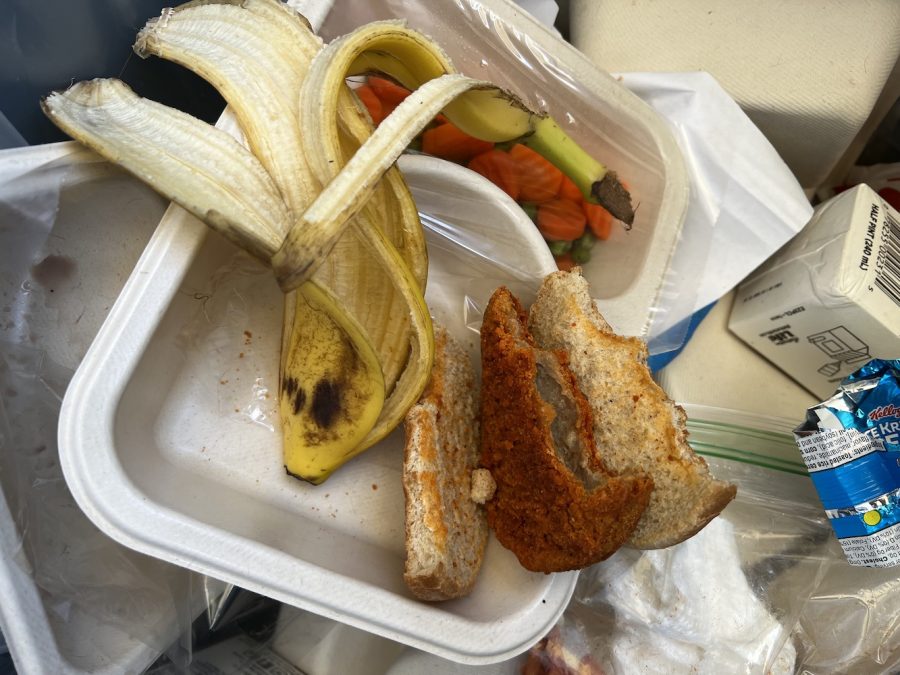 Food+from+school+lunches+such+as+sandwiches+and+vegetables+are+often+thrown+away+by+students.