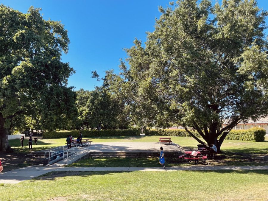 A large park-like area located on the campus of Gunn High School in Palo Alto. The trees and grassy space give the school a relaxing and calm atmosphere.