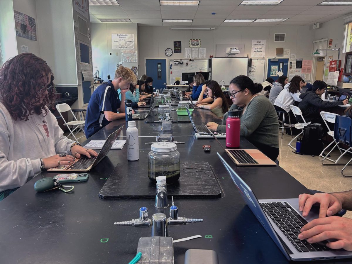 AP Environmental Science (APES) students work hard in class in preparation for an upcoming test. APES has seen a dramatic increase in student enrollment this year, causing Carlmont to hire a new teacher for the course.
