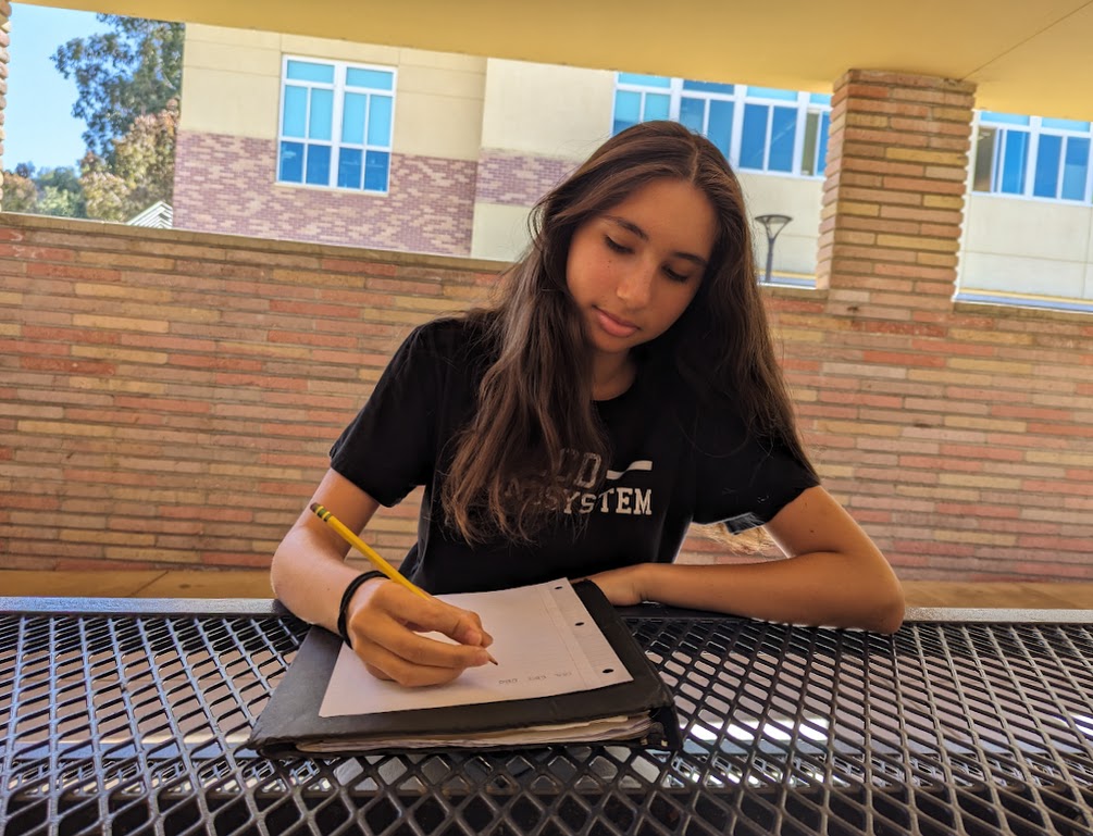 Sophomore Valeria Lehman prepares to write a DBQ. The first DBQ I wrote was pretty good because I managed to finish it, which I wasn’t expecting, Lehman said. 