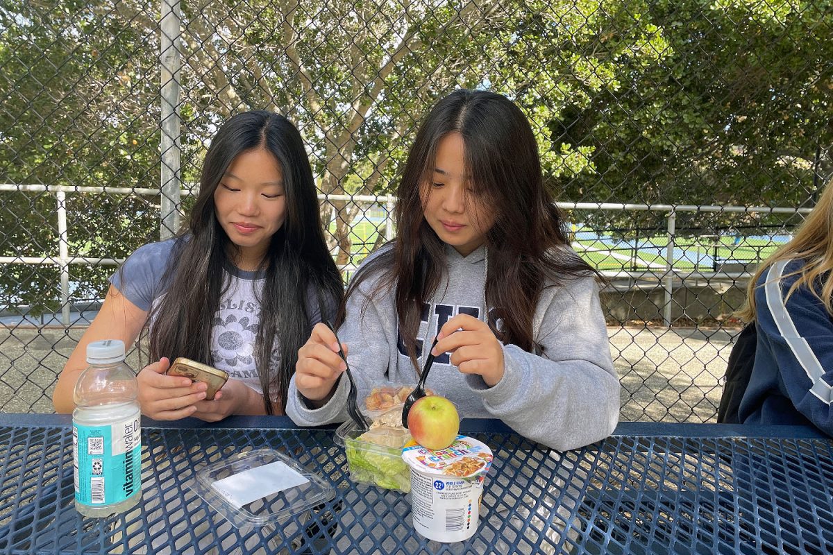 Sophomores Sara Ho and Sammy Li sit down during the lunch period to eat. I generally dont like cafeteria food, but I like the salads, Ho said.  