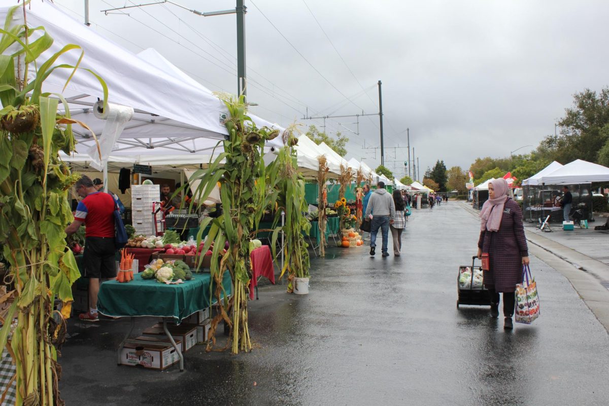 Farmers markets spark opportunity for small vendors