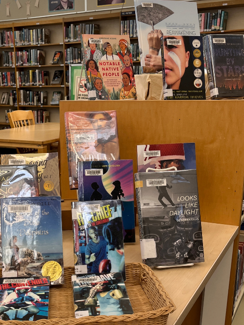 Novembers media challenge is National Novel Writing Month. Noravian set up this display of books related to the theme.
