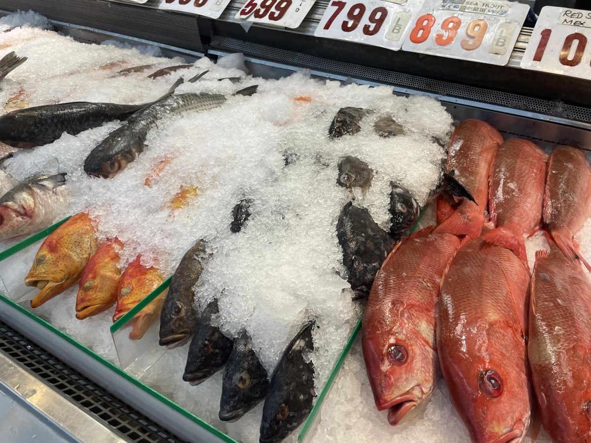 The seafood section at the Marina Food Market sells a variety of fresh fish each day. “We sell tilapia, black bass, carp, and catfish, and we have them labeled in regions also saying which farm we got it from,” Zhou said. Recently, the fish selection has been limited to buyers compared to past months. 