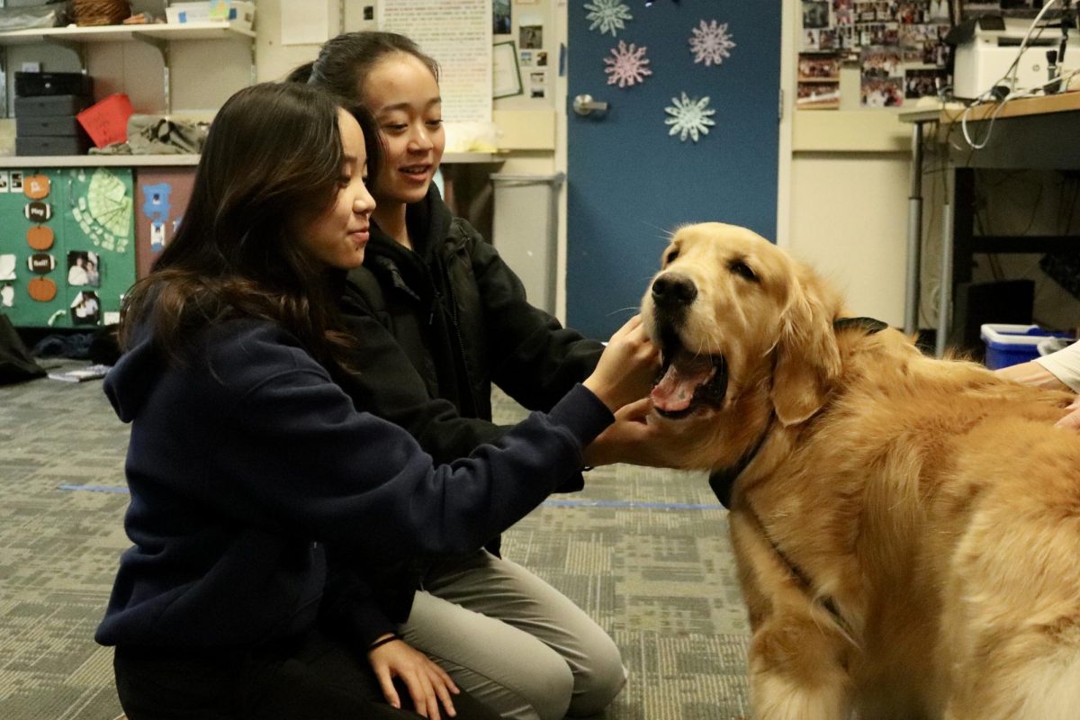 Sophomore Ashlynn Son and her friend pet Cooper, a certified therapy dog. “I think dogs just give a lot of serotonin. Especially during review week, everything can be very stressful so it’s a really cool activity,” Son said.