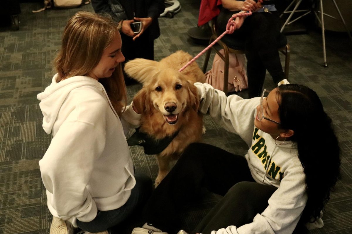 Two students pet Zoe, a 4-year-old golden retriever. Zoe’s known to be a great therapy dog. She even posed for the camera.