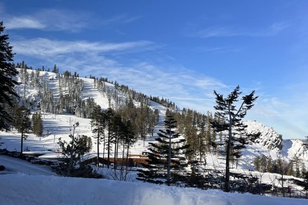 Californias Bear Valley Resort features nine lifts and 122 trails.