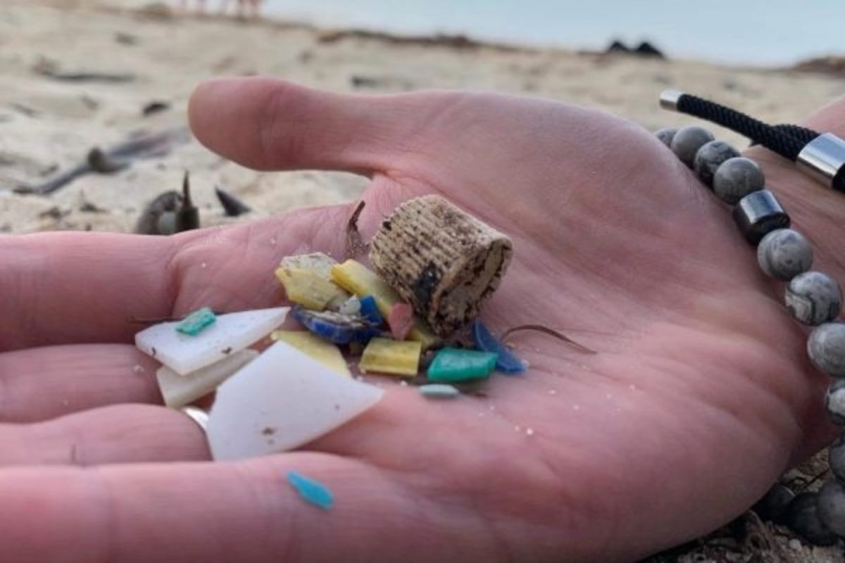 Ocean Blue Project, a nonprofit, shows the level of microplastics found on a Florida Beach. Microplastics are found not only on the beaches, but also in everyday objects like food. These same microplastics degrade human health as a result.