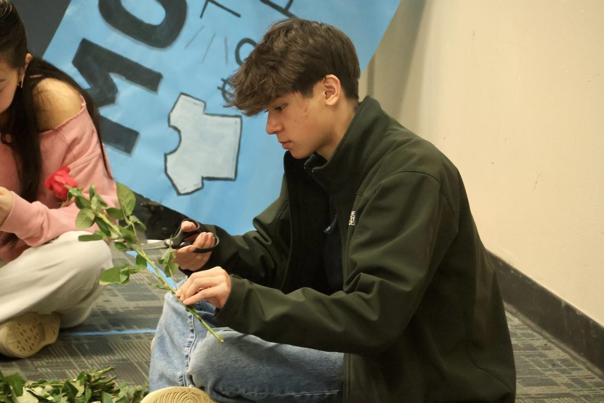 Sophomore Lucas Zago prepares roses for the Valentines Day grams. Several Carlmont students purchased Valentines Day grams as a fun surprise for their significant others and friends. ASB members dropped off the grams during class and brought smiles to those who received them.