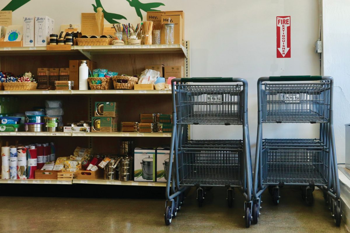Byrds Filling Station has shopping carts lined up near the entrance. They are an aspect of the store that allows customers a regular grocery store experience. I hope zero-waste stores become so profitable that they become more popular and accessible to more people, Porter said.