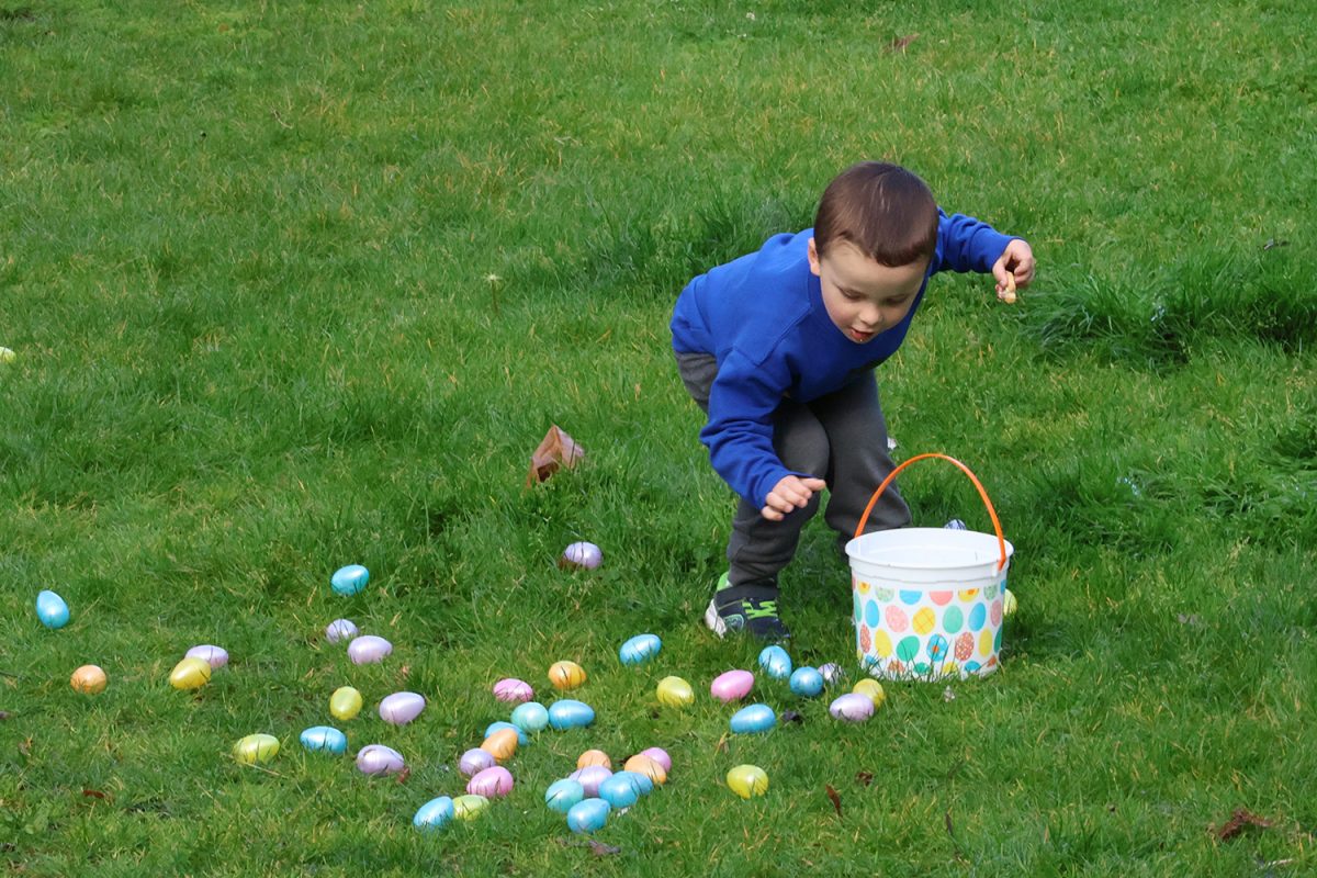 A child decides which of the many eggs he should pick up first. In one hand, he picked up all of the eggs surrounding him. In the other hand, he ate a frosted cookie from inside of the Senior Center.