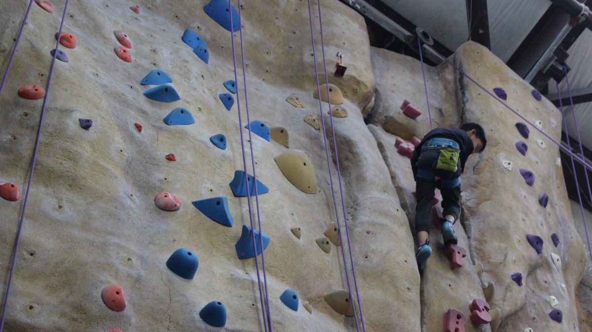 Carlmonts climbers offer a rock solid alternative to standard sports