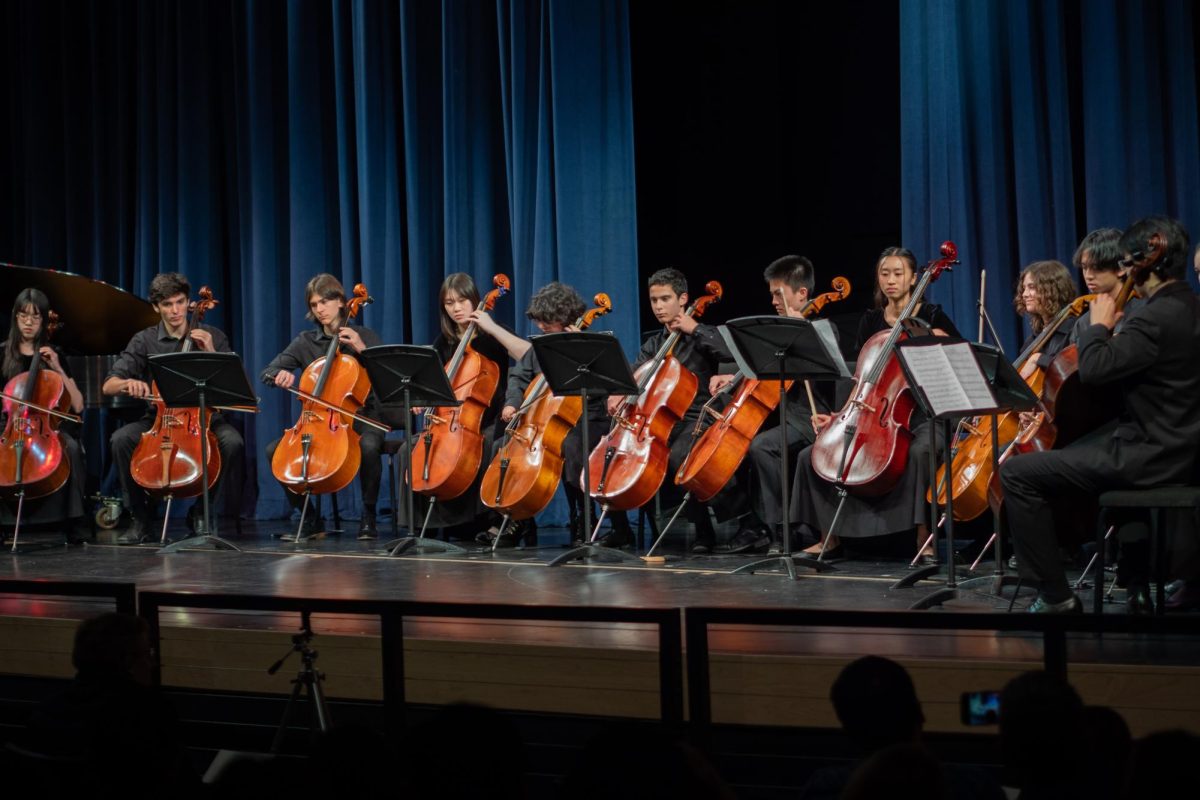 Chamber music performers captivate the audience with their rendition of How to Train Your Dragon.” The audience cheered for 10 seconds before the next song started.